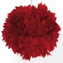 Pompom rood pompoms